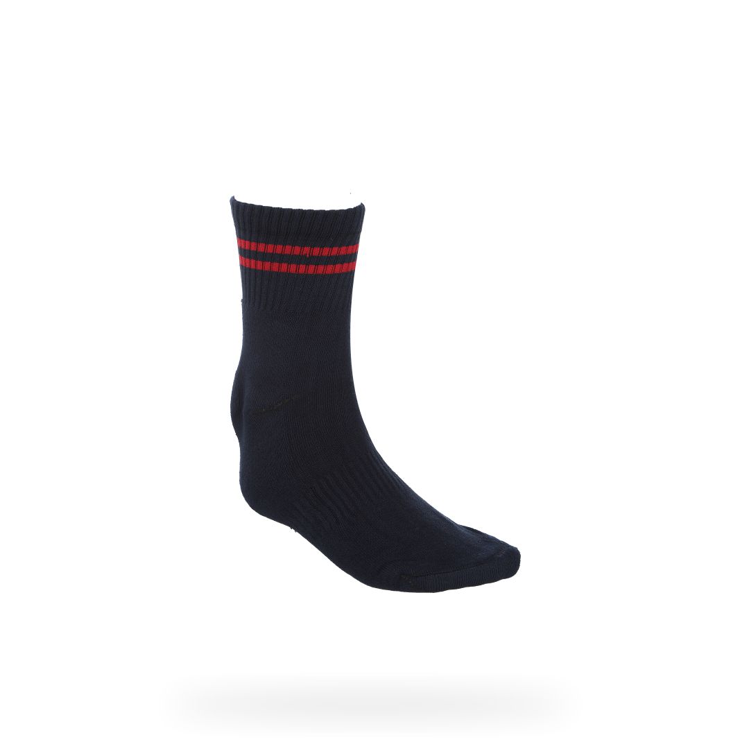 GD GOENKA SCHOOL SOCKS