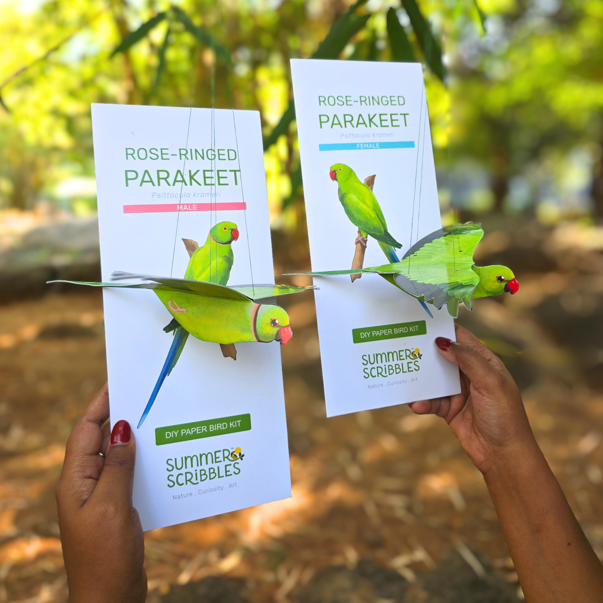 Rose-ringed Parakeet — Paper Craft Kit (Set of 2)