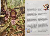 Growing Native Tree Species for Forest Restoration in North-east India - A Practitioner's Manual Growing Native Tree Species for Forest Restoration in North-east India - A Practitioner's Manual