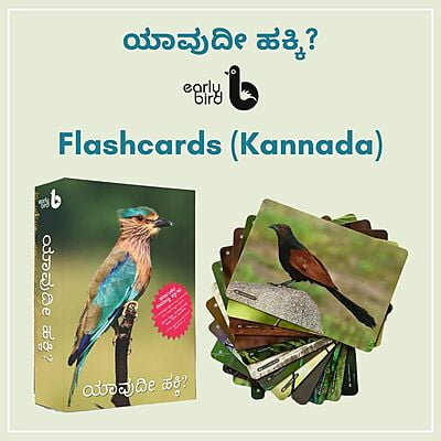 Early Bird Flashcards (Kannada)