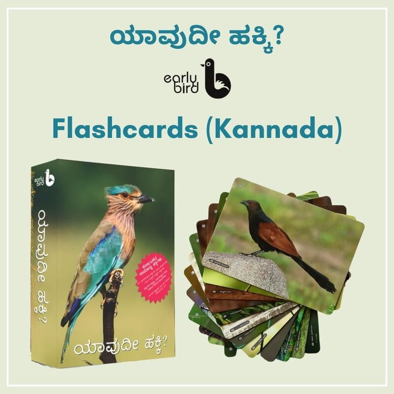 Early Bird Flashcards (Kannada) Early Bird Flashcards (Kannada)
