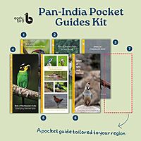 Pan-India Pocket Guides Kit Pan-India Pocket Guides Kit