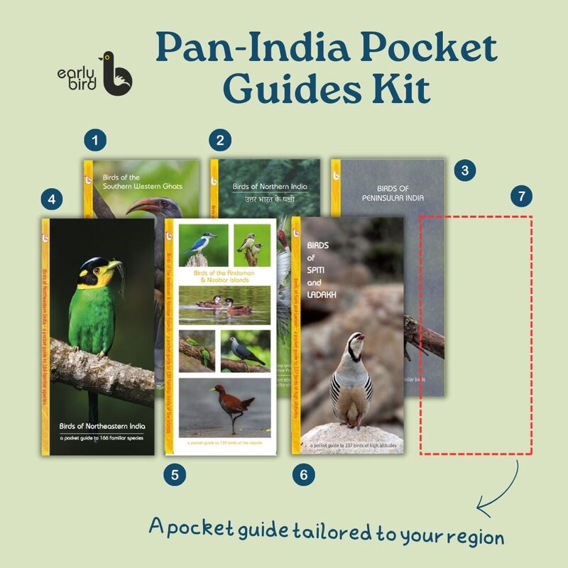 Pan-India Pocket Guides Kit Pan-India Pocket Guides Kit