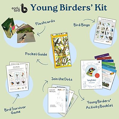 Young Birders' Kit