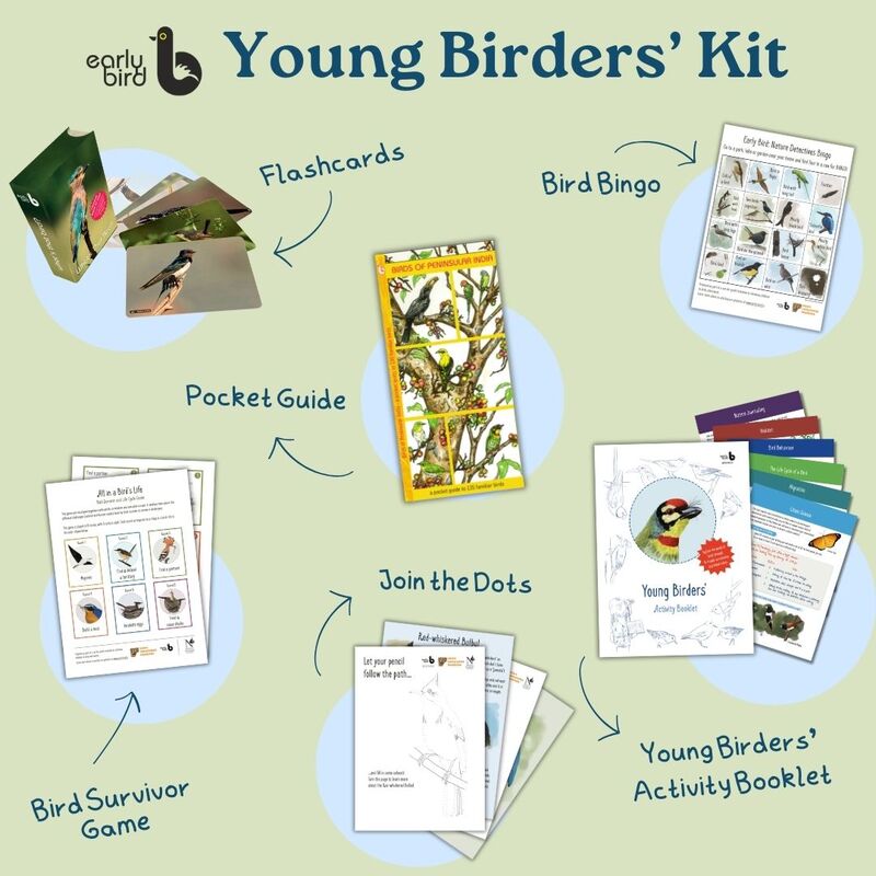 Young Birders' Kit