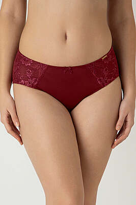 AMANTE Luxe Support Hipster Panty 101701