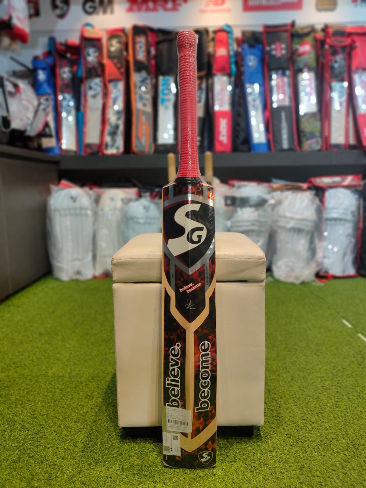 CRICKET BAT SG