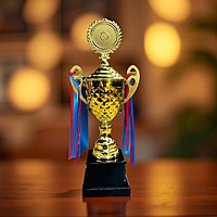 E-PC210 SMALL TROPHY 18% 36cm