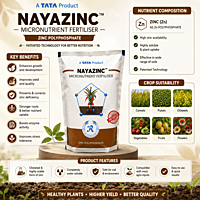 TATA Rallis NAYAZINC™ – Next-Generation Zinc Fertilizer | Vetrivel Agro Services