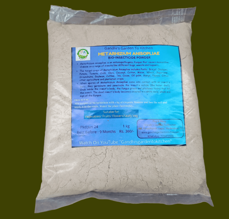 1kg Metarhizium Anisopliae, Bio Pesticide, Control Root Weevils, Plant Hoppers, Japanese Beetle, Black Vine Weevil