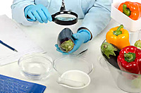 Commodity Pledge Loan Facilitation Services