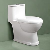 Western Toilet (EWC)