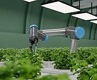 Mobile Processing & Value Addition Unit Leasing