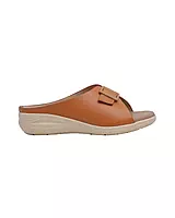 Aristo Women