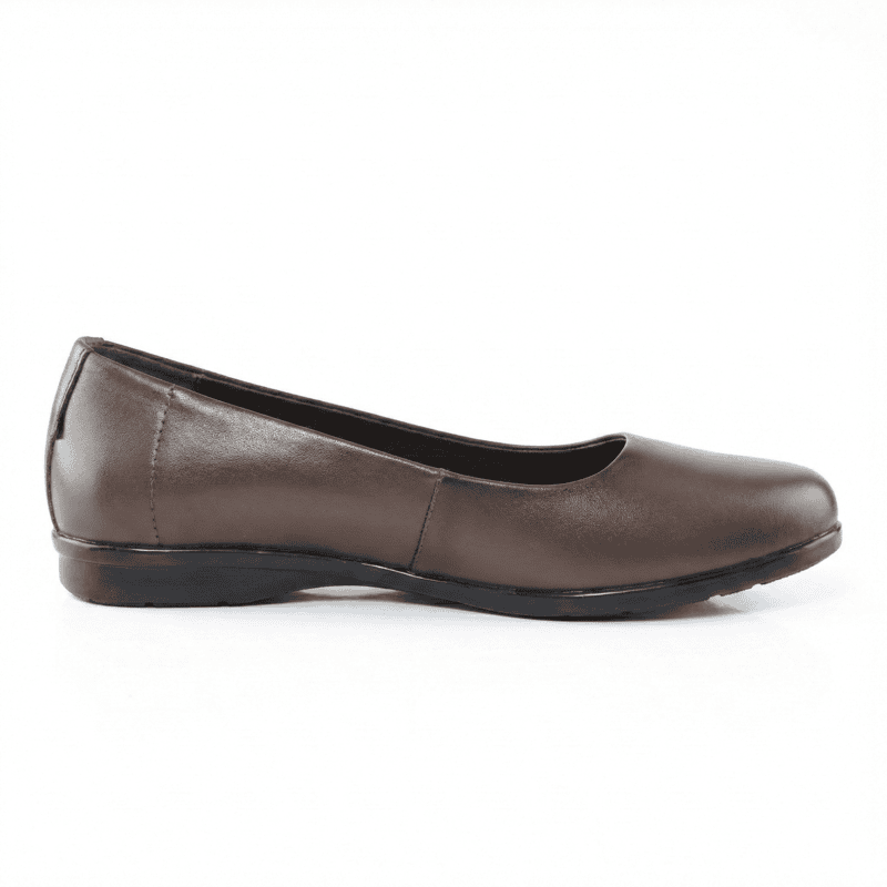 La Maidens Brown Ballet Flats