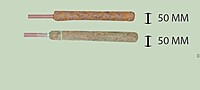 Coco Pole | Coir Moss Stick for Climbing Plants | 2–5 Feet