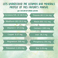 MORINGA LEAVES POWDER | SUPERFOOD FOR ALL MORINGA LEAVES POWDER | SUPERFOOD FOR ALL