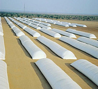 Portable Grain Storage & Silos Leasing
