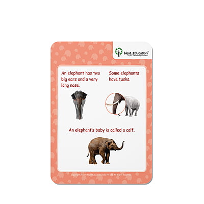 Next AR leaflet - Primer B (Set of 20) Next AR leaflet - Primer B (Set of 20)