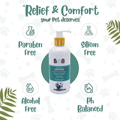 BWB LABRADOR SHAMPOO