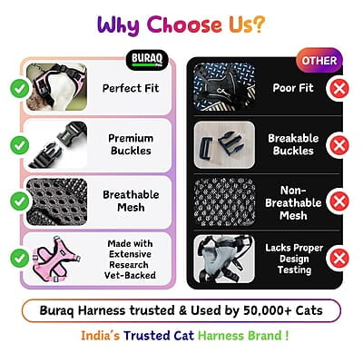 Cat NO-PULL with Leash Harness (Mesh)-orange-S Cat NO-PULL with Leash Harness (Mesh)-orange-S