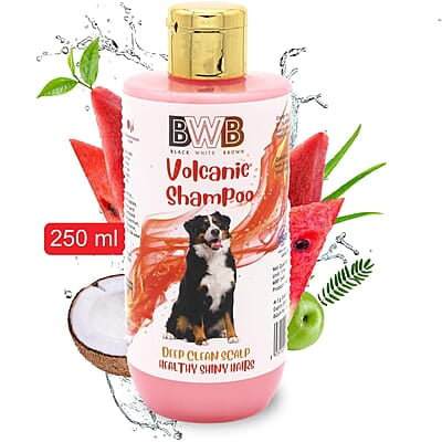 Volcanic Shampoo