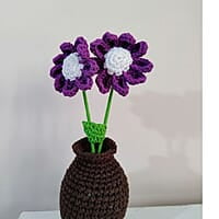 Daisy Small Flower Purple