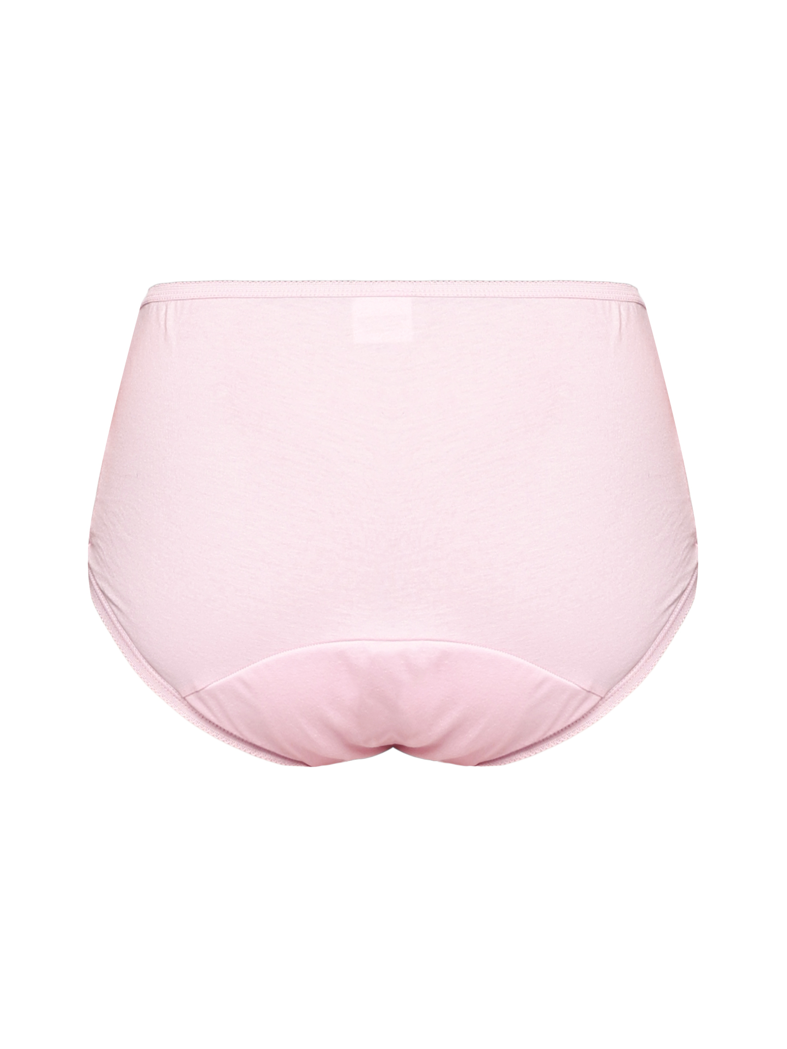 Reusable adult diaper, Washable adult diapers, Incontinence Protective Underwear for Women, High Waist Panties For Women, Leak Proof, Pink Color (pack of 2)