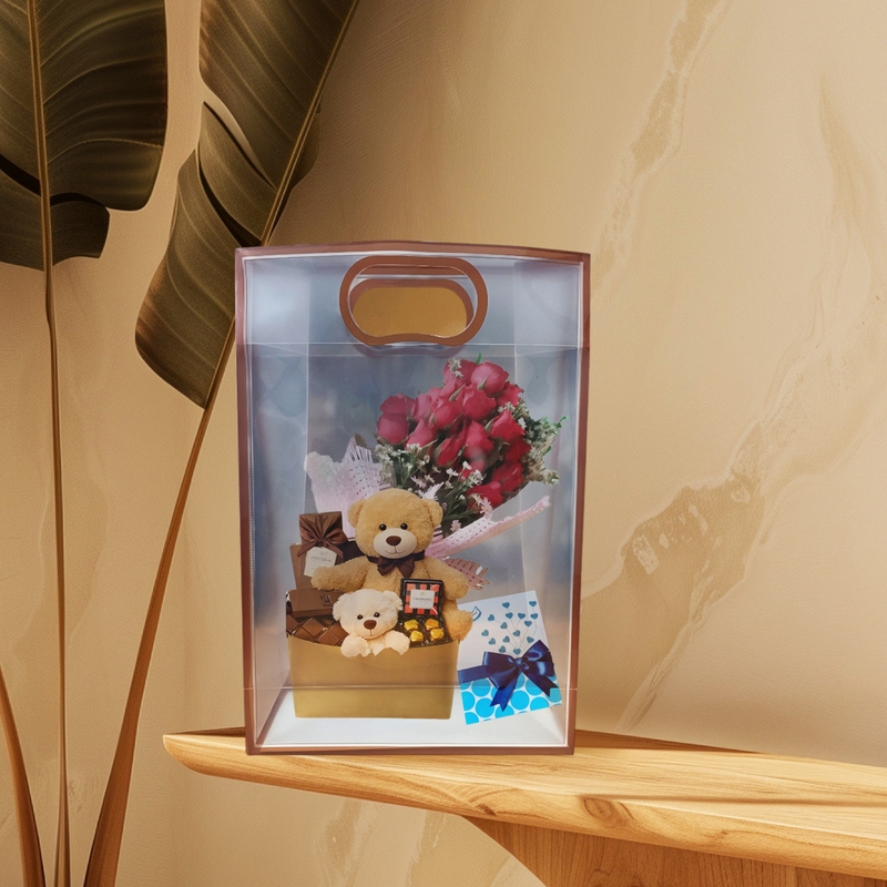 Pack of 6 Transparent Goodie Bags | Clear Medium Gift Bags for Return Gifts, Party Favors, Birthday, Wedding, Baby Shower | Brown Gift Bags