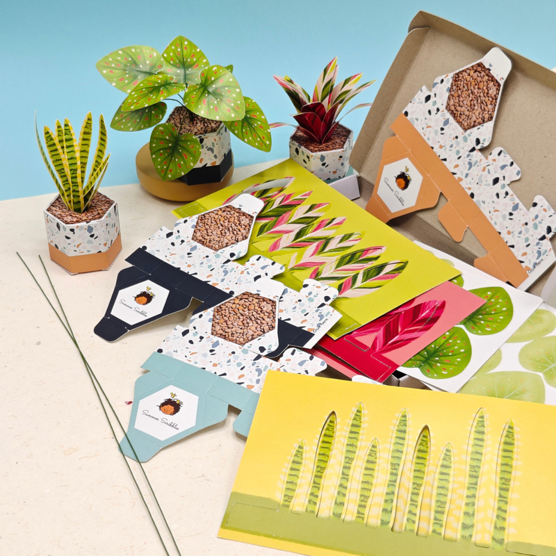 Mini Paper Plants – Set of 3 Illustrated DIY Desk Planters
