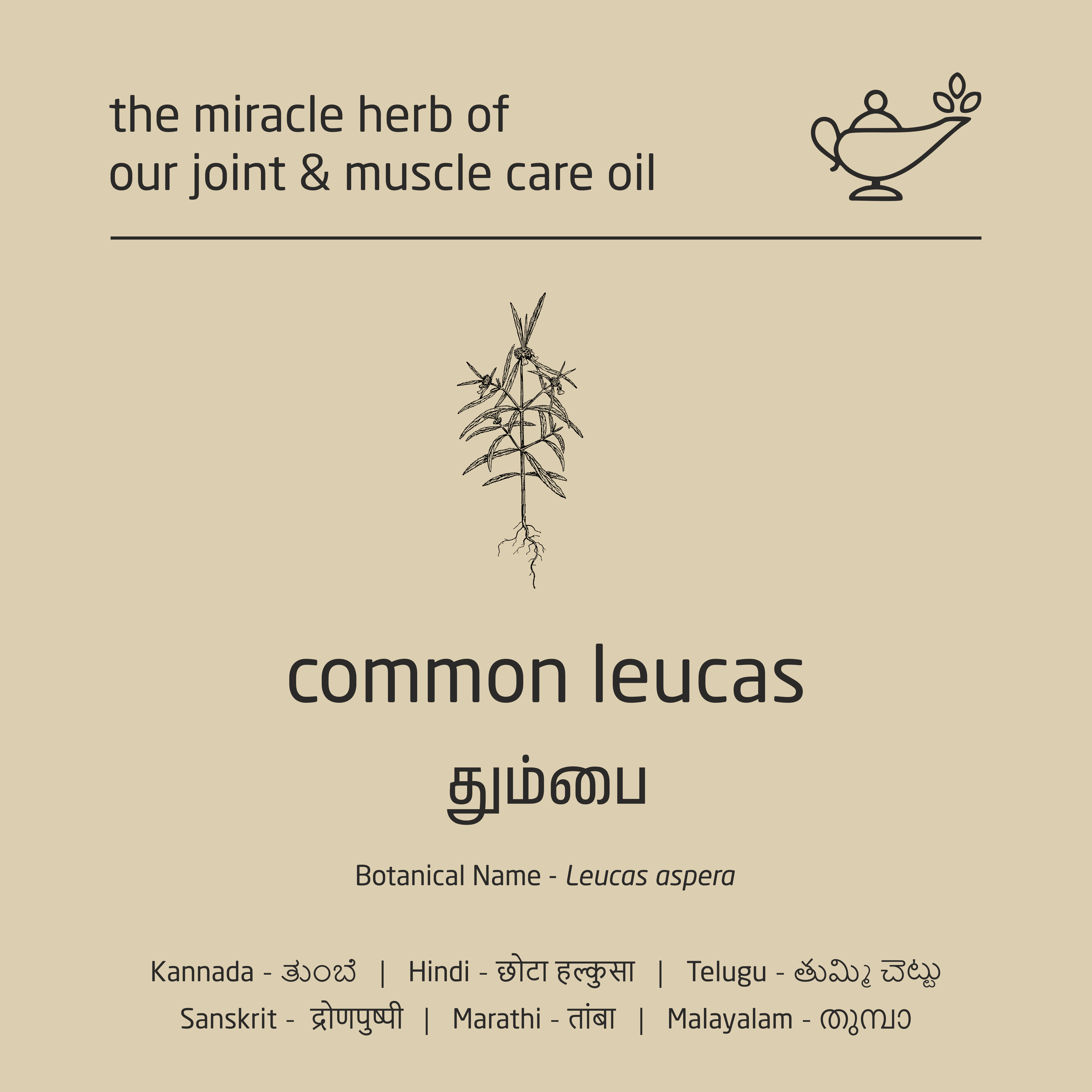 Premium Herbal Cold-Infused Joint & Muscle Care Oil - 100ml