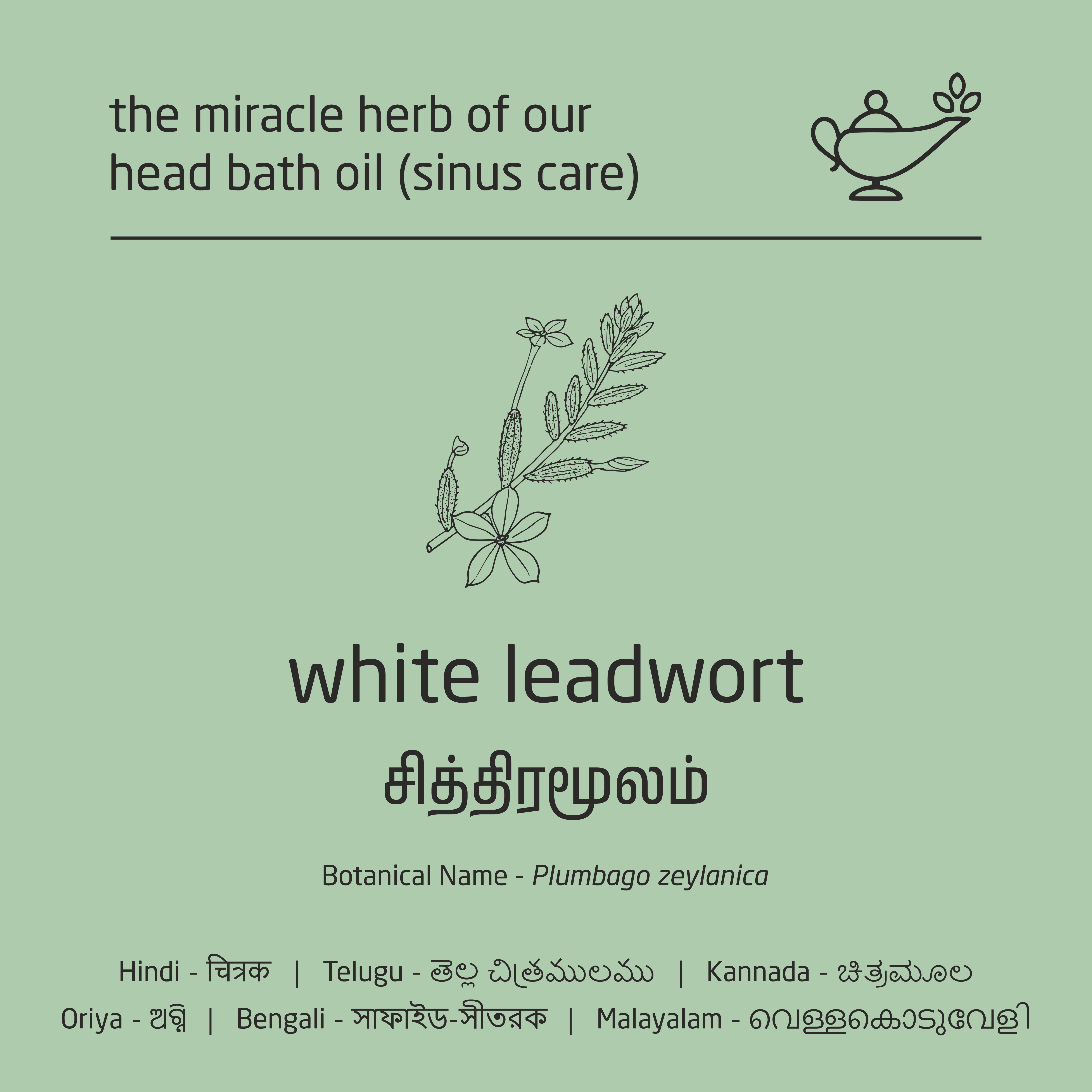 Premium Herbal Cold-Infused Head Bath Oil (Sinus Care) - 100ml