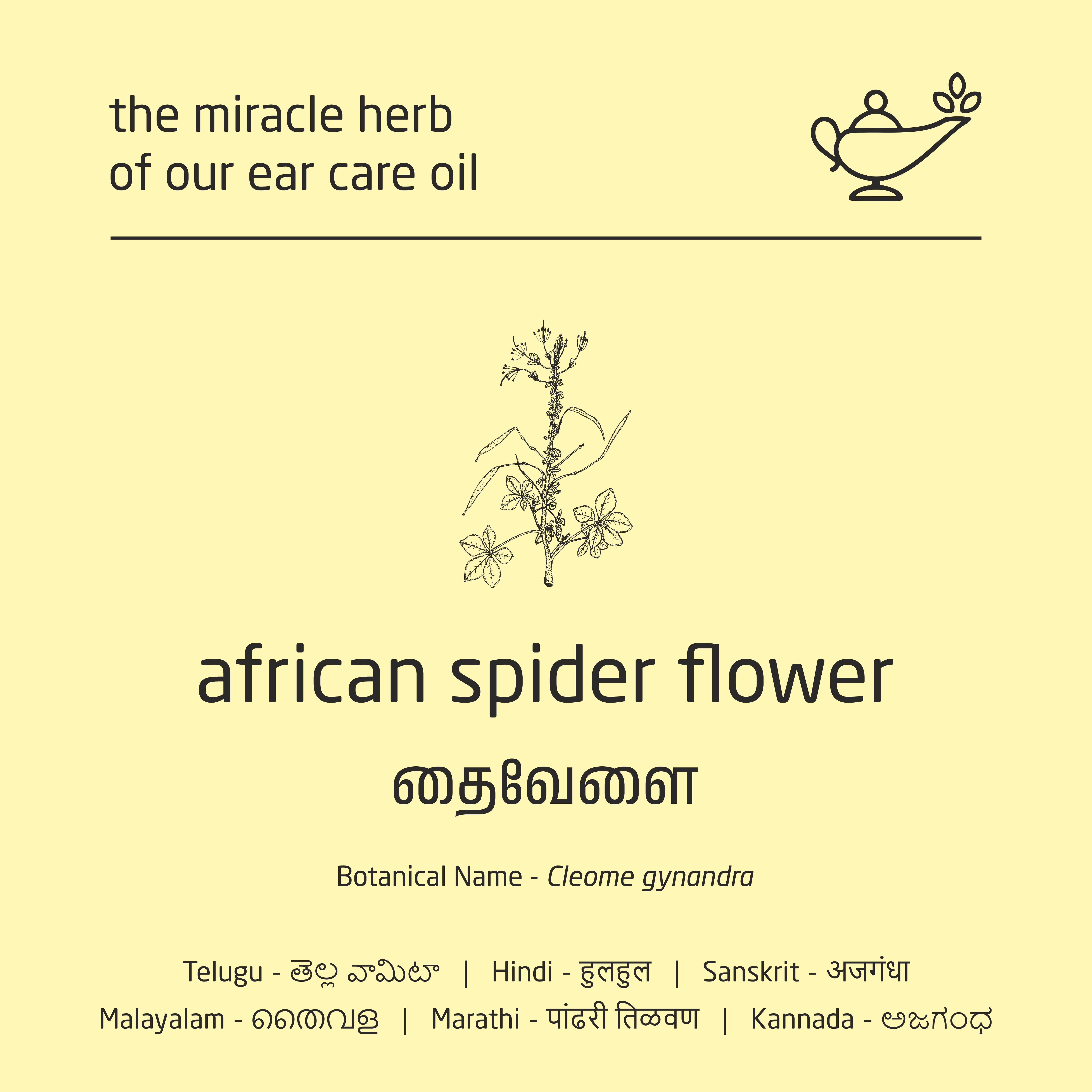 Premium Herbal Cold-Infused Ear Care Oil - 100ml