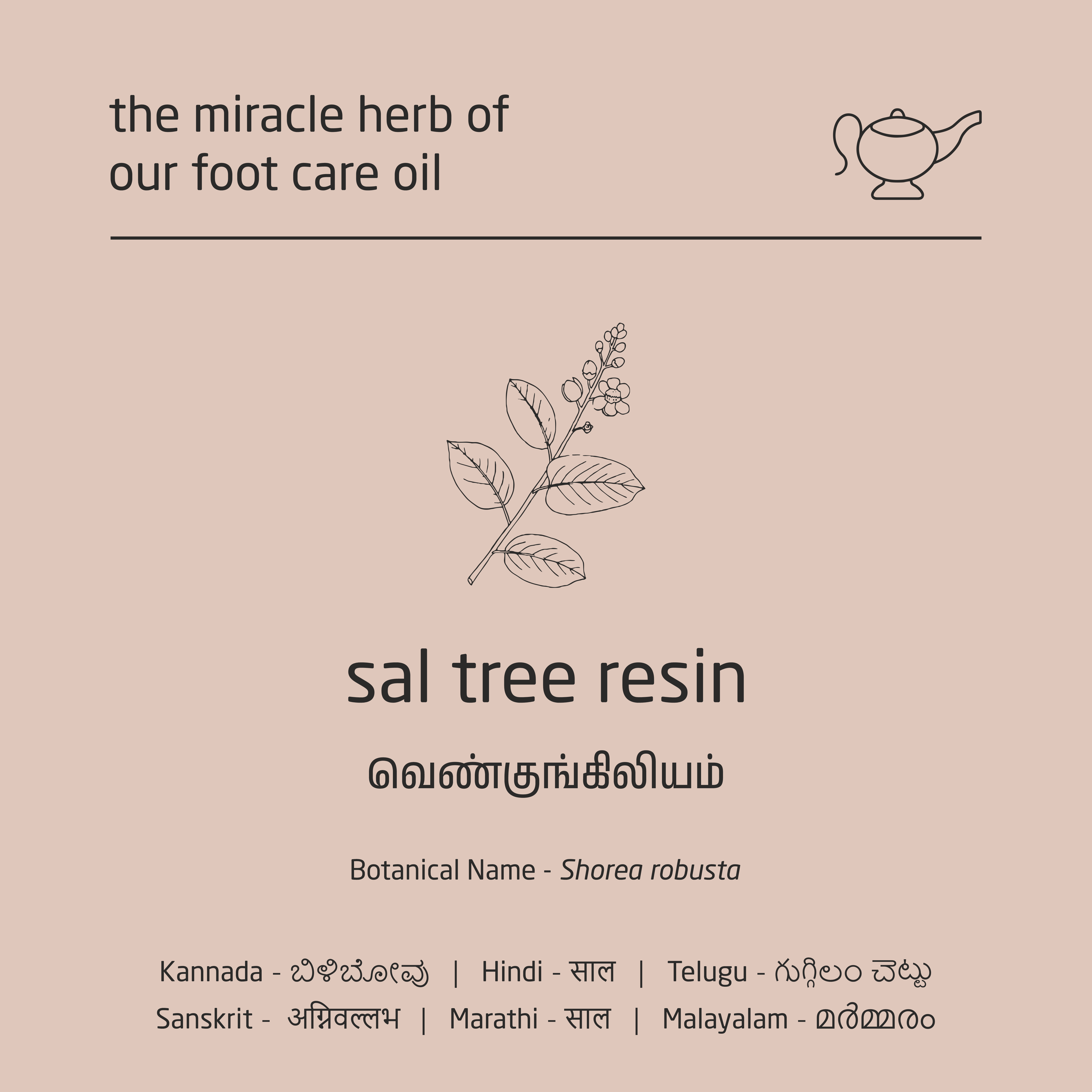 Premium Herbal Cold-Infused Foot Care Oil - 100ml