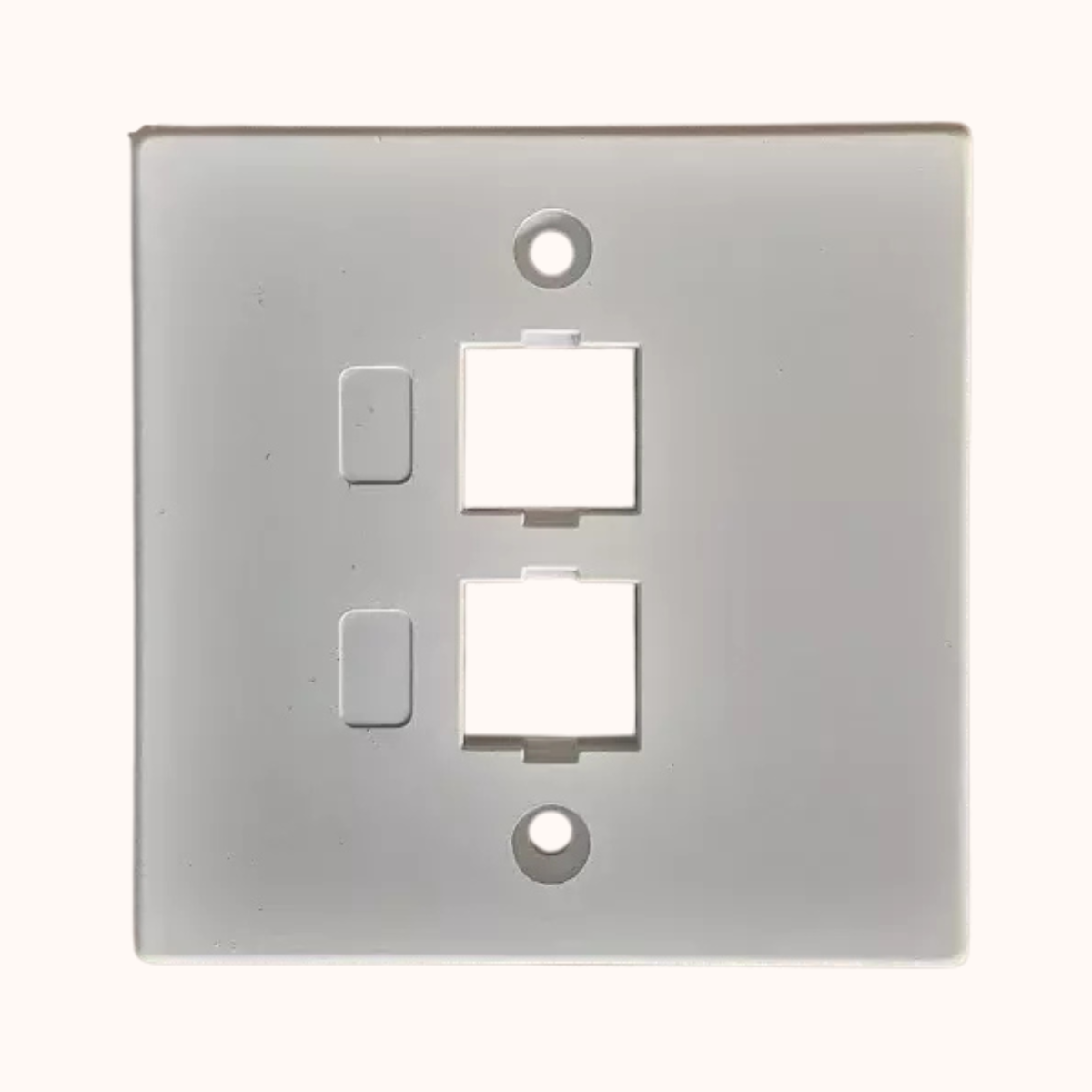 Delton Unshuttered Face Plates Dual Port (DLT-FPDWS)