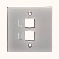 Delton Unshuttered Face Plates Dual Port (DLT-FPDWS)