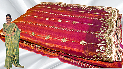 Rudha Space Designer Work Saree - Red Pink