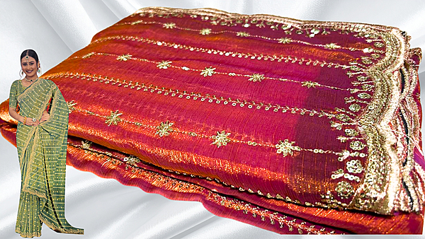 Rudha Space Designer Work Saree - Red Pink