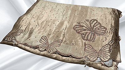 Butterfly Stone Work Pastle Saree - Cream Butterfly Stone Work Pastle Saree - Cream