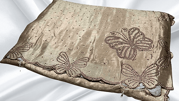 Butterfly Stone Work Pastle Saree - Cream