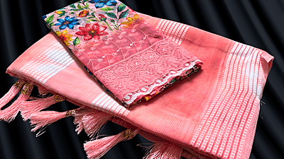 Colourful Silver Line Work Saree - Red Pink