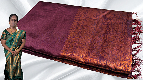 Bentex Border Kanchi Silk Saree - Choco Brown