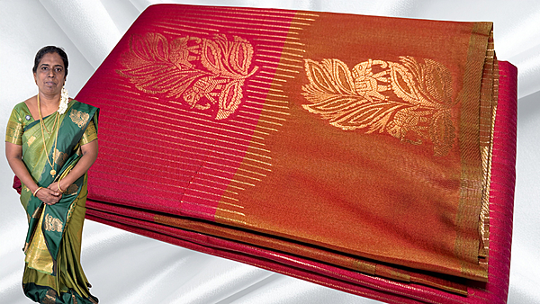 Radhika Soft Silk Line Jari Saree - Rani Pink