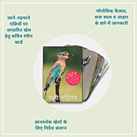 Early Bird Flashcards (Hindi)
