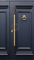 Elegant HDHMR Moulded Door with PU Paint Finish