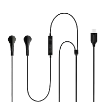 SAMSUNG IC050 In-Ear Wired Earphone with Mic (Type-C Interface Support, Black)