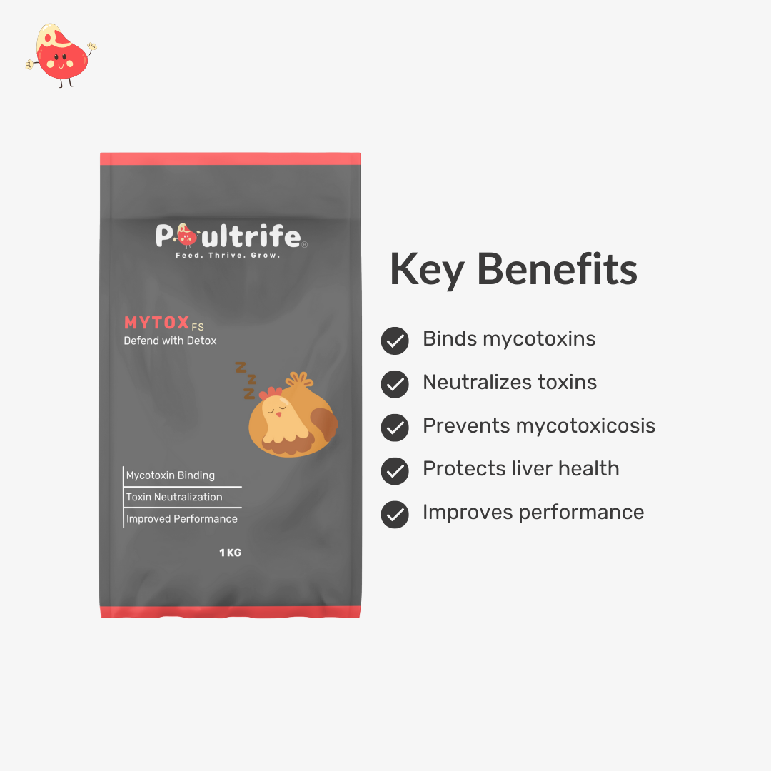 MYTOX FS – Advanced Mycotoxin Binder for Feed Safety