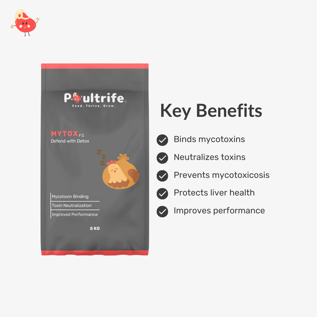 MYTOX FS – Advanced Mycotoxin Binder for Feed Safety