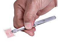 TW10 Tweezer Straight, No 10, Steel