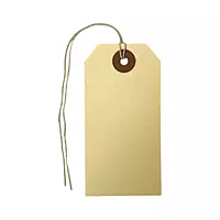Box of 1000 96mm x 48mm Ivory Strung Tags